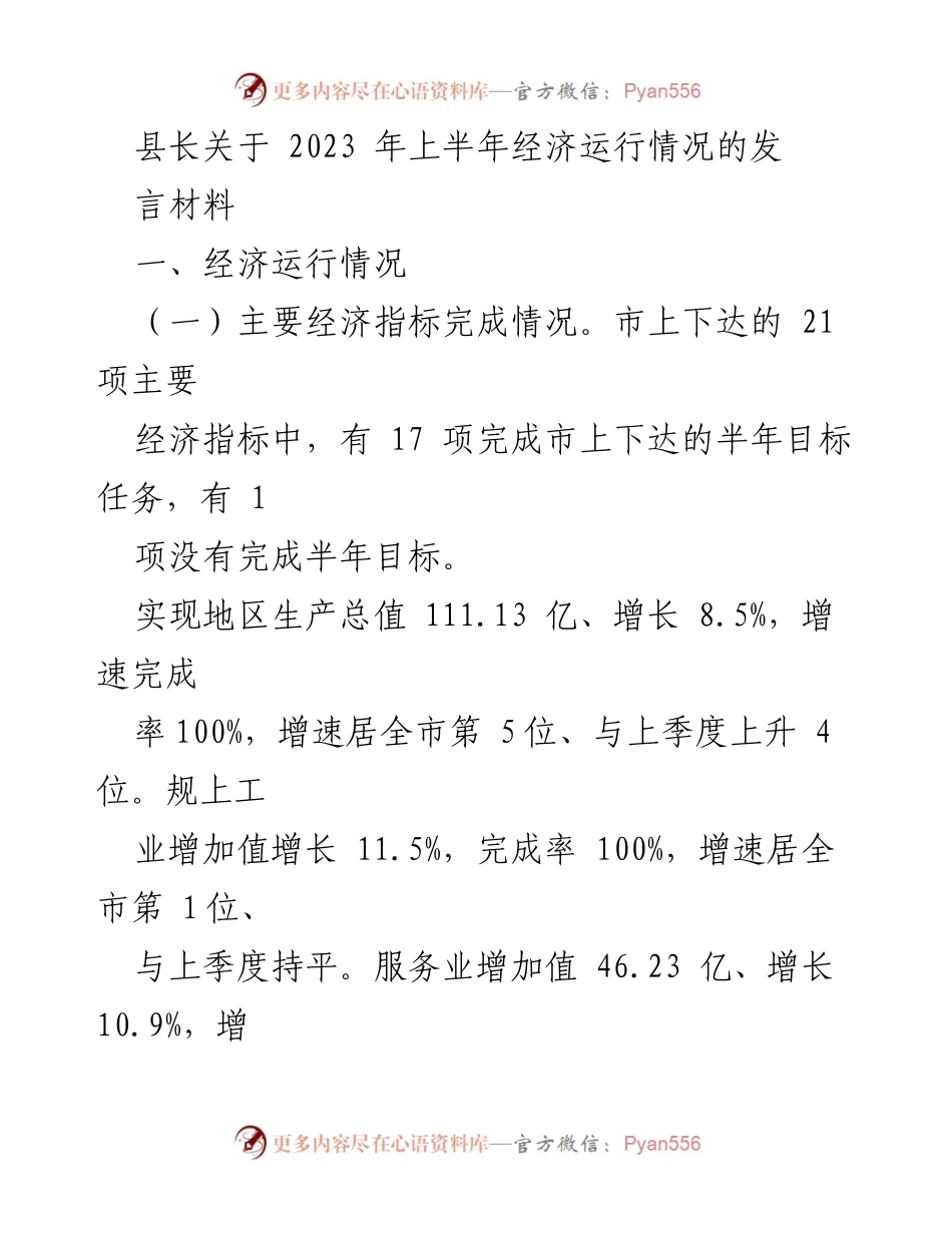 [发言] 经济运行分析 - 2023年上半年经济运行情况汇报.docx_第1页