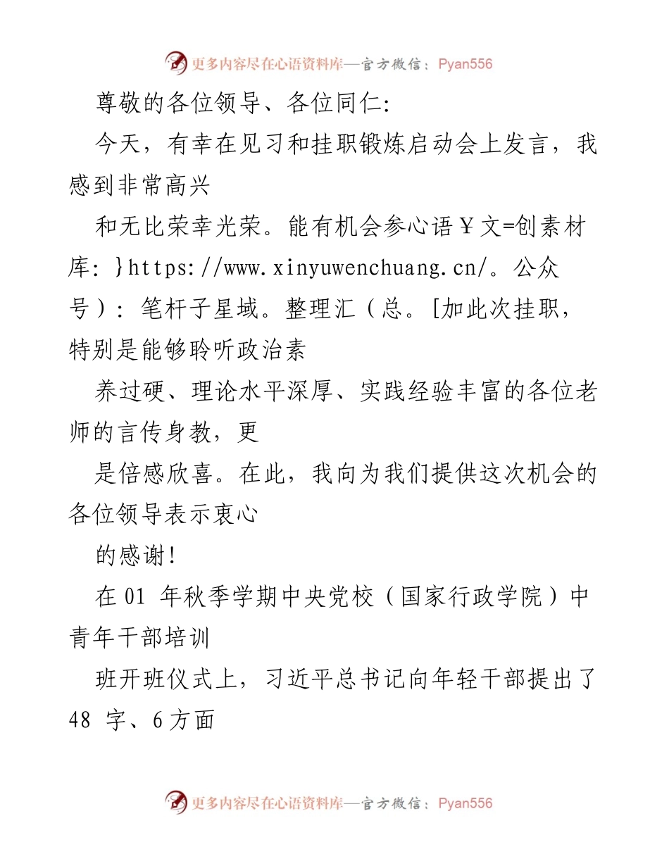 [发言] 见习和挂职锻炼启动会发言总结.docx_第1页