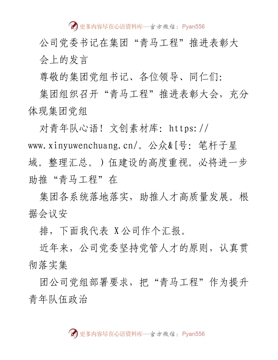 [发言] 表彰大会 - 青年队伍建设与“青马工程”推进发言.docx_第1页