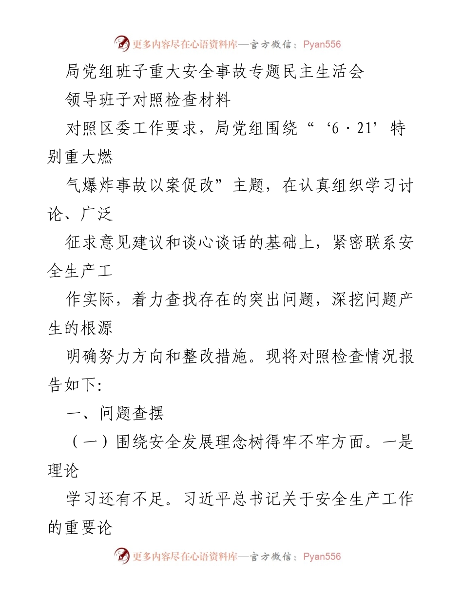 [发言] 重大安全事故专题民主生活会 - 局党组班子对照检查及整改措施总结.docx_第1页