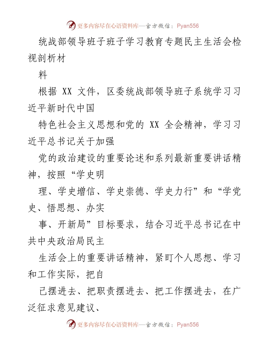 [发言] 统战部领导班子学习教育专题民主生活会 - 统战部班子学习教育民主生活会检视剖析报告.docx_第1页