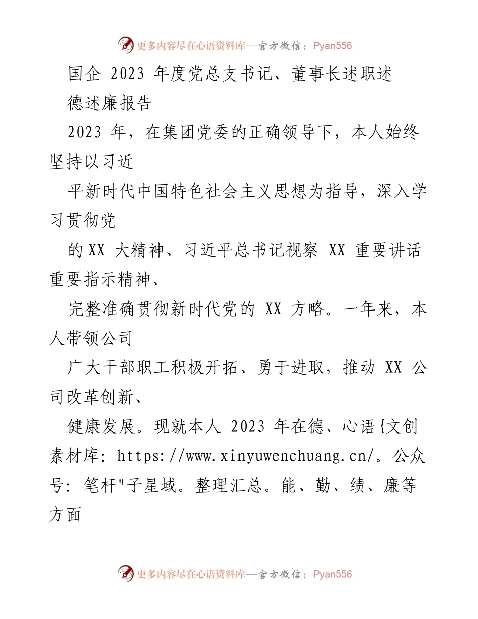 [发言] 述职大会 - 2023年度党总支书记、董事长述职报告.docx_第1页