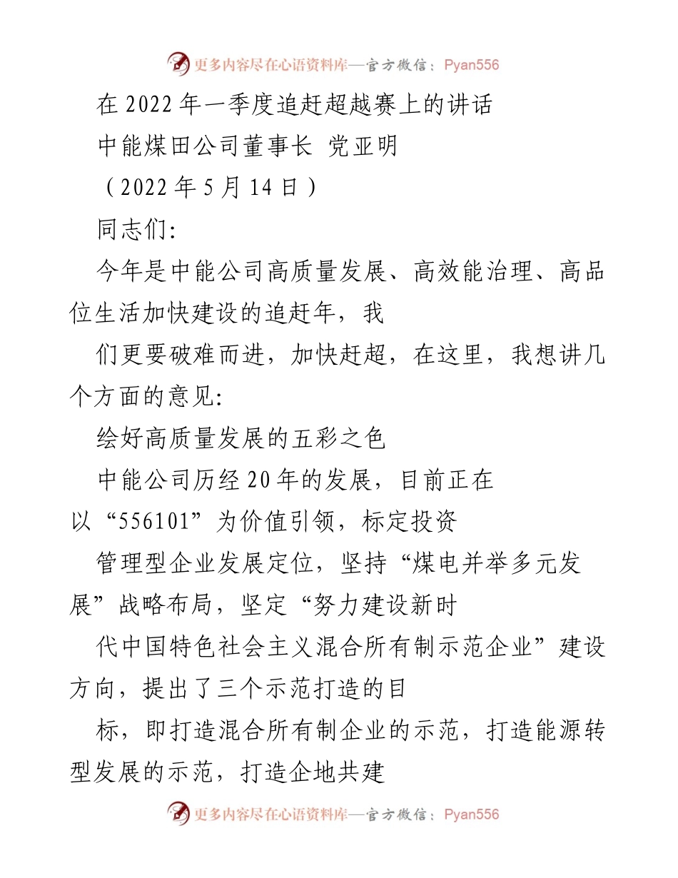 [发言] 追赶超越赛 - 中能公司高质量发展战略的五彩画卷.docx_第1页