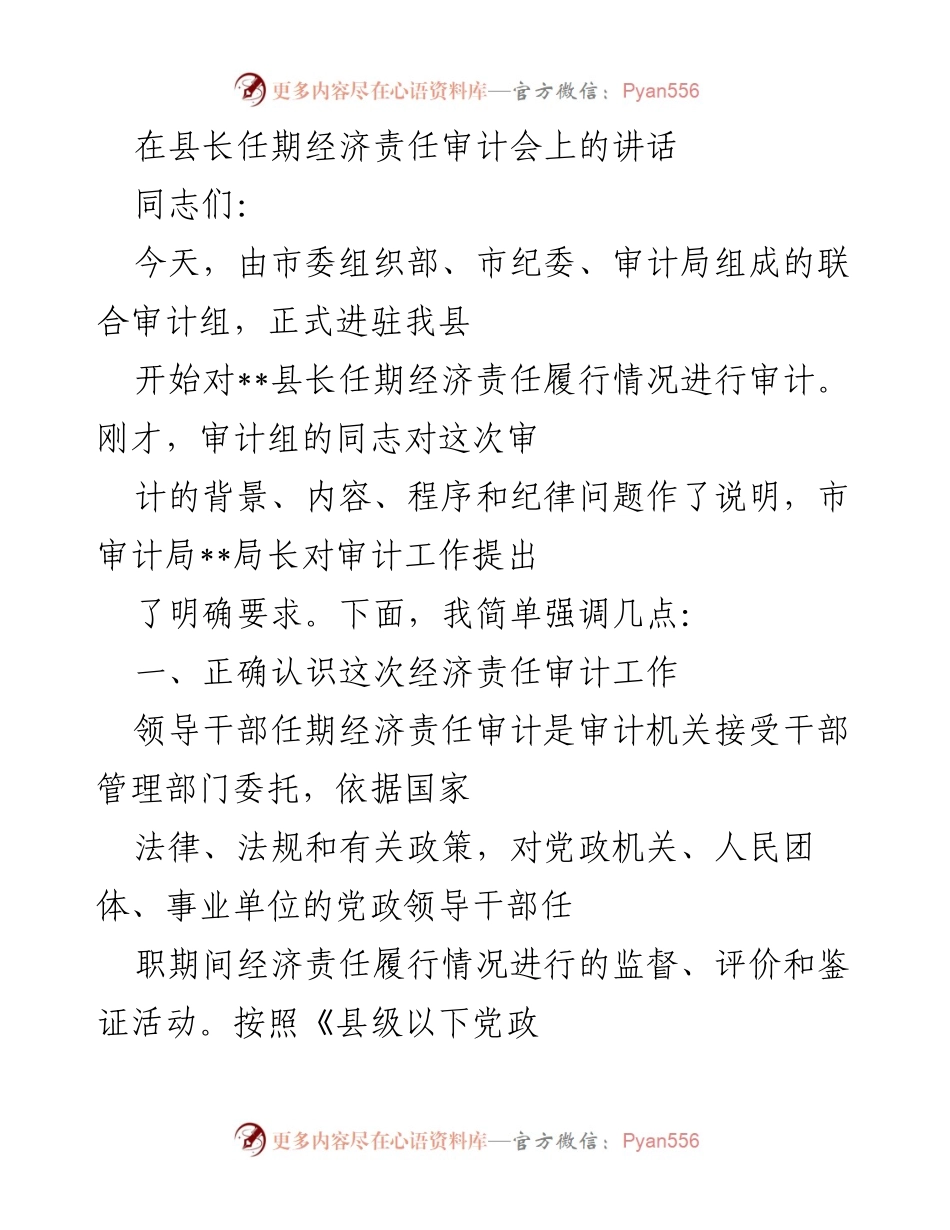 [发言] 经济责任审计会议 - 强调经济责任审计的重要性与__县长的工作成就.docx_第1页