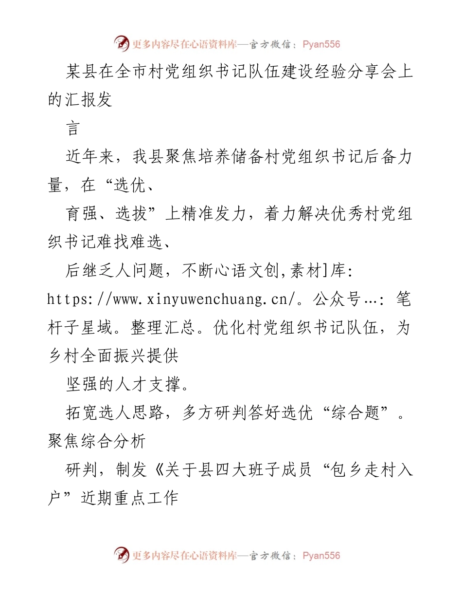 [发言] 经验分享会 - 优化村党组织书记队伍建设的实践与思考.docx_第1页