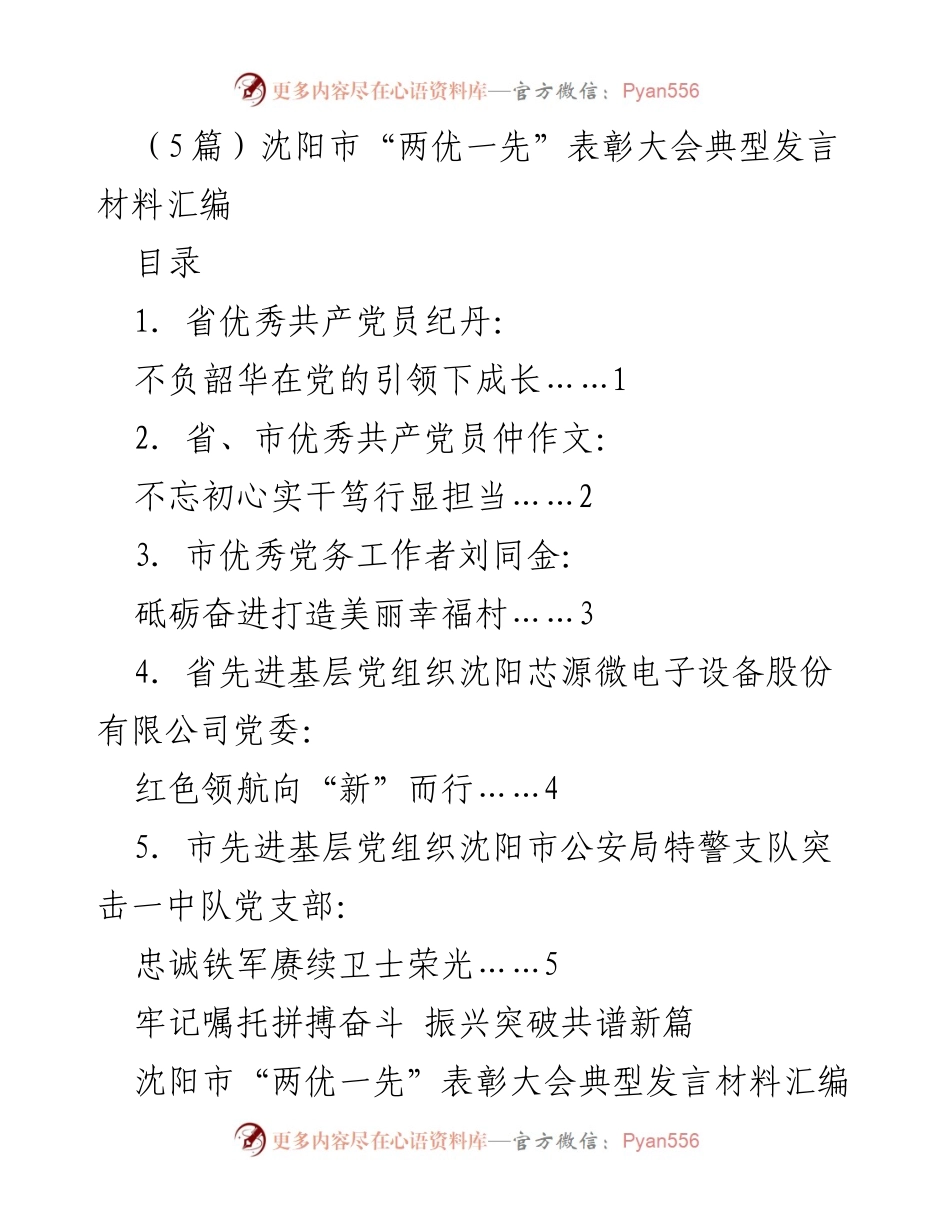 [发言] 表彰大会 - 沈阳市“两优一先”表彰大会典型发言材料汇编.docx_第1页
