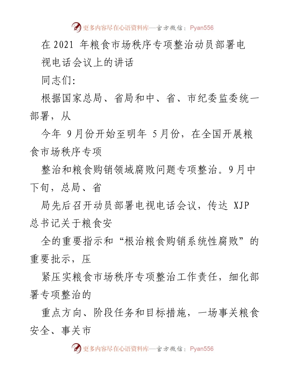 [发言] 视频会议 - 粮食市场秩序专项整治动员部署讲话.docx_第1页