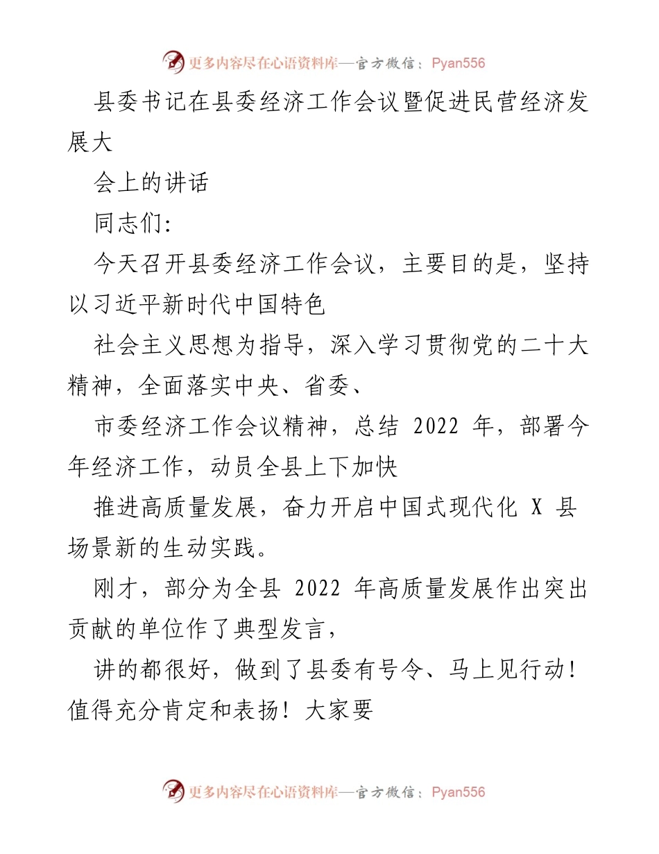 [发言] 经济工作会议 - 县委书记在经济工作会议上的讲话与2023年经济发展部署.docx_第1页