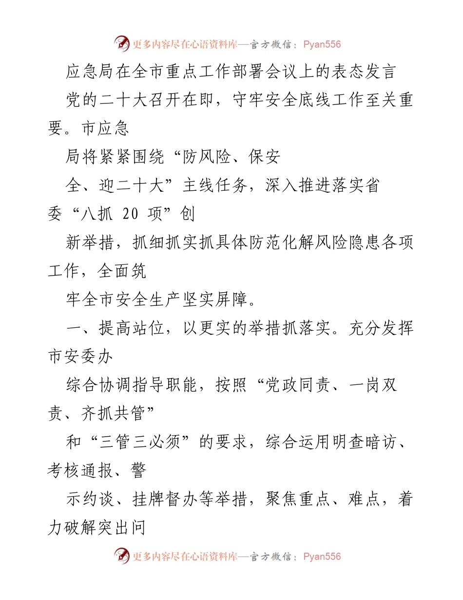 [发言] 重点工作部署会议 - 市应急局安全生产工作表态发言_1.docx_第1页