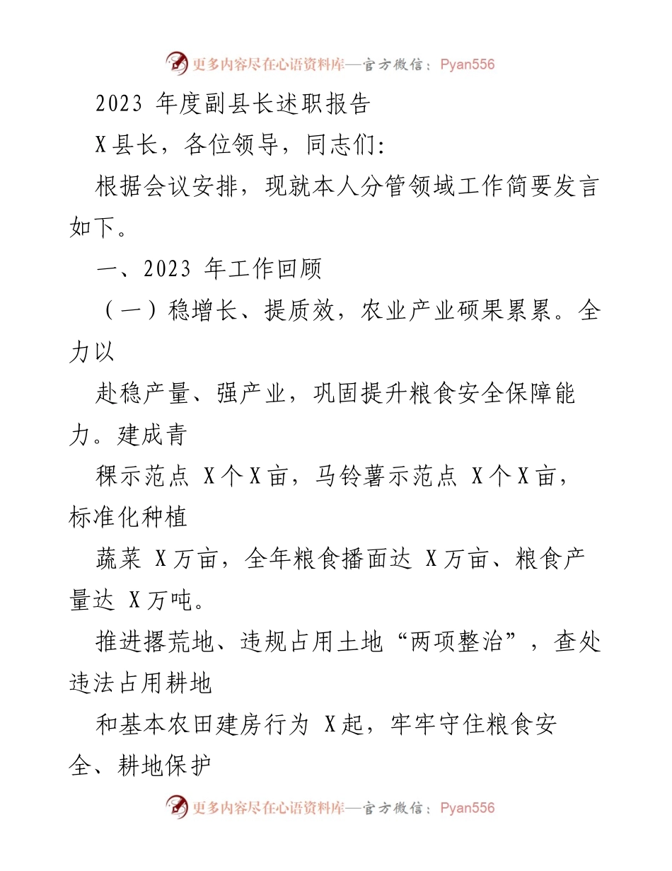 [发言] 述职会议 - 2023年度副县长工作述职报告_2.docx_第1页