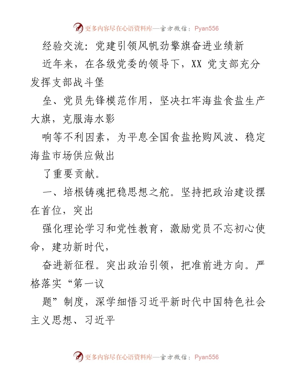 [发言] 经验交流会 - 党建引领：奋进新时代的海盐生产实践.docx_第1页
