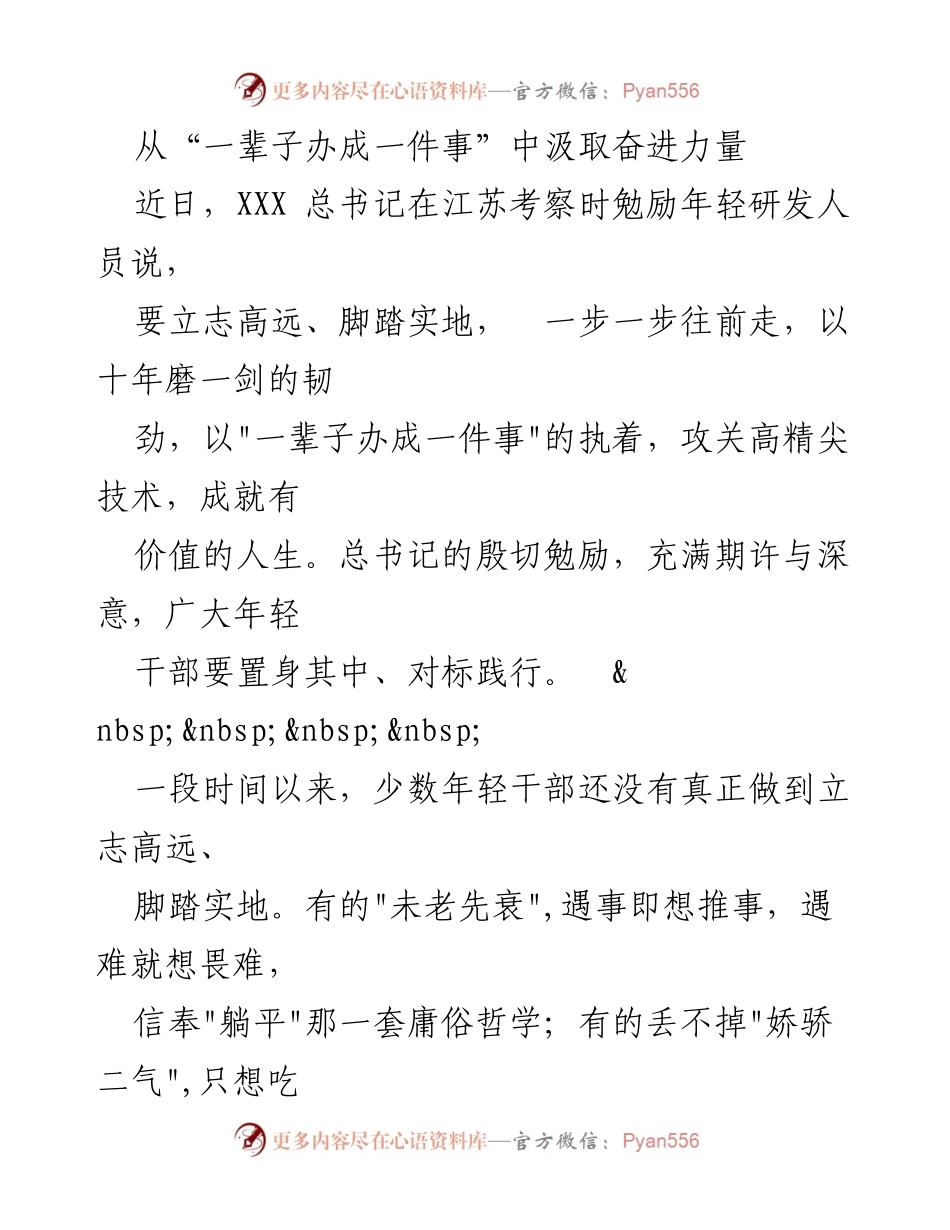 [发言] 考察活动 - “一辈子办成一件事”的执着与年轻干部的奋斗精神.docx_第1页