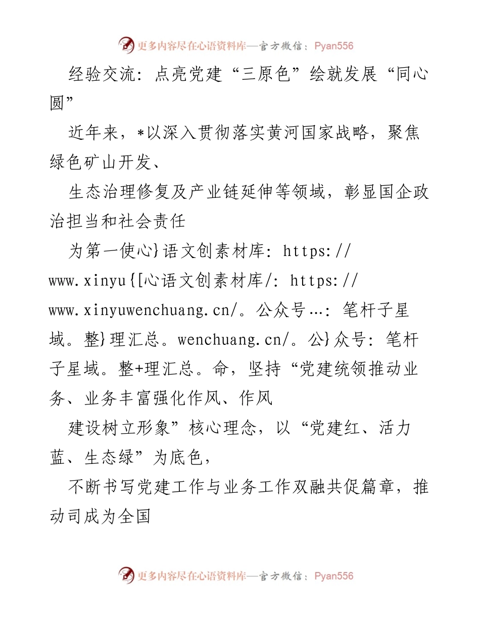 [发言] 经验交流会 - 点亮党建“三原色”，推动企业高质量发展.docx_第1页