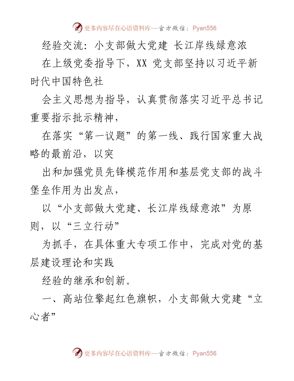 [发言] 经验交流会 - 小支部做大党建：长江岸线的绿色发展探索_1.docx_第1页