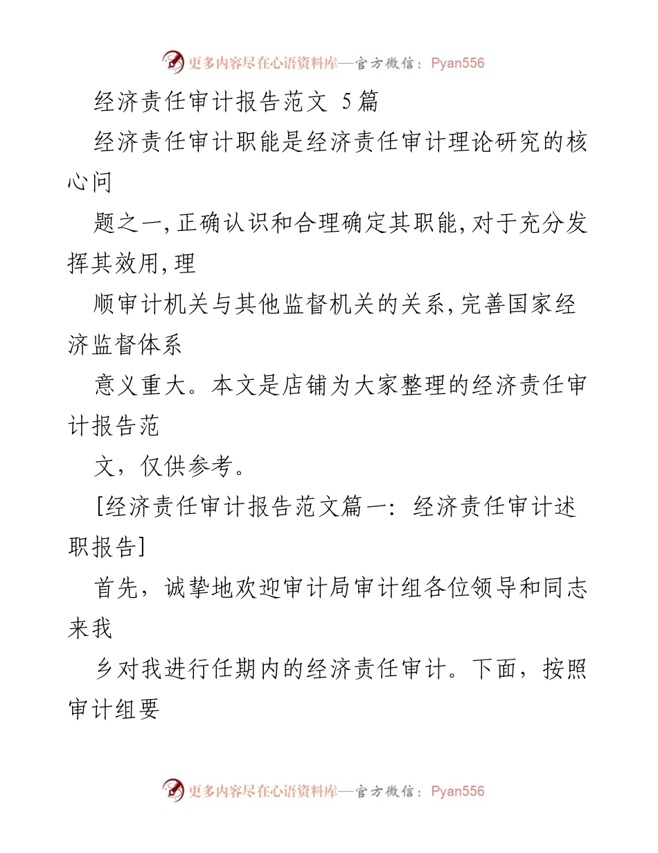 [发言] 经济责任审计 - 经济责任审计述职汇报.docx_第1页