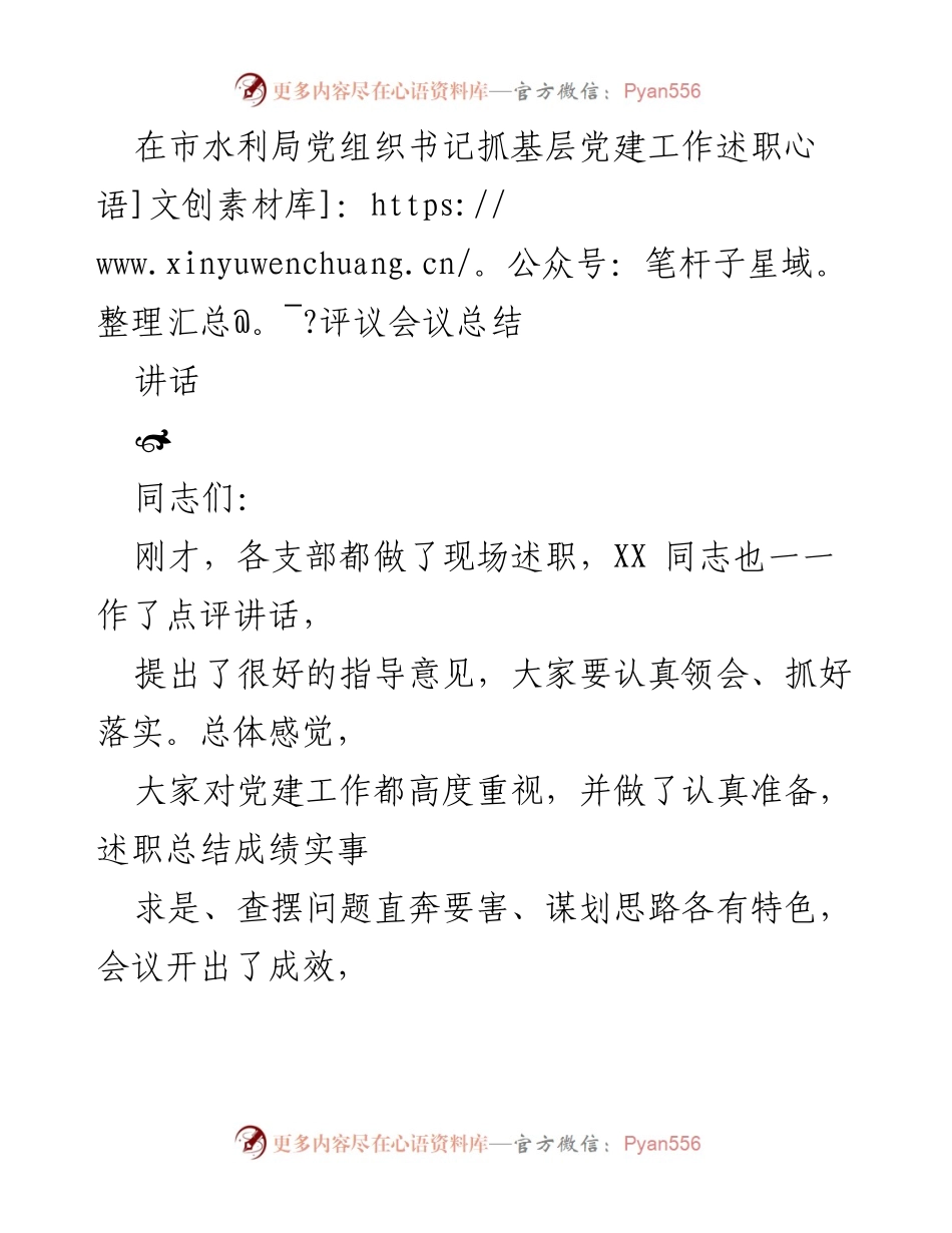[发言] 述职评议会议 - 市水利局党建工作述职评议总结与改进建议.docx_第1页