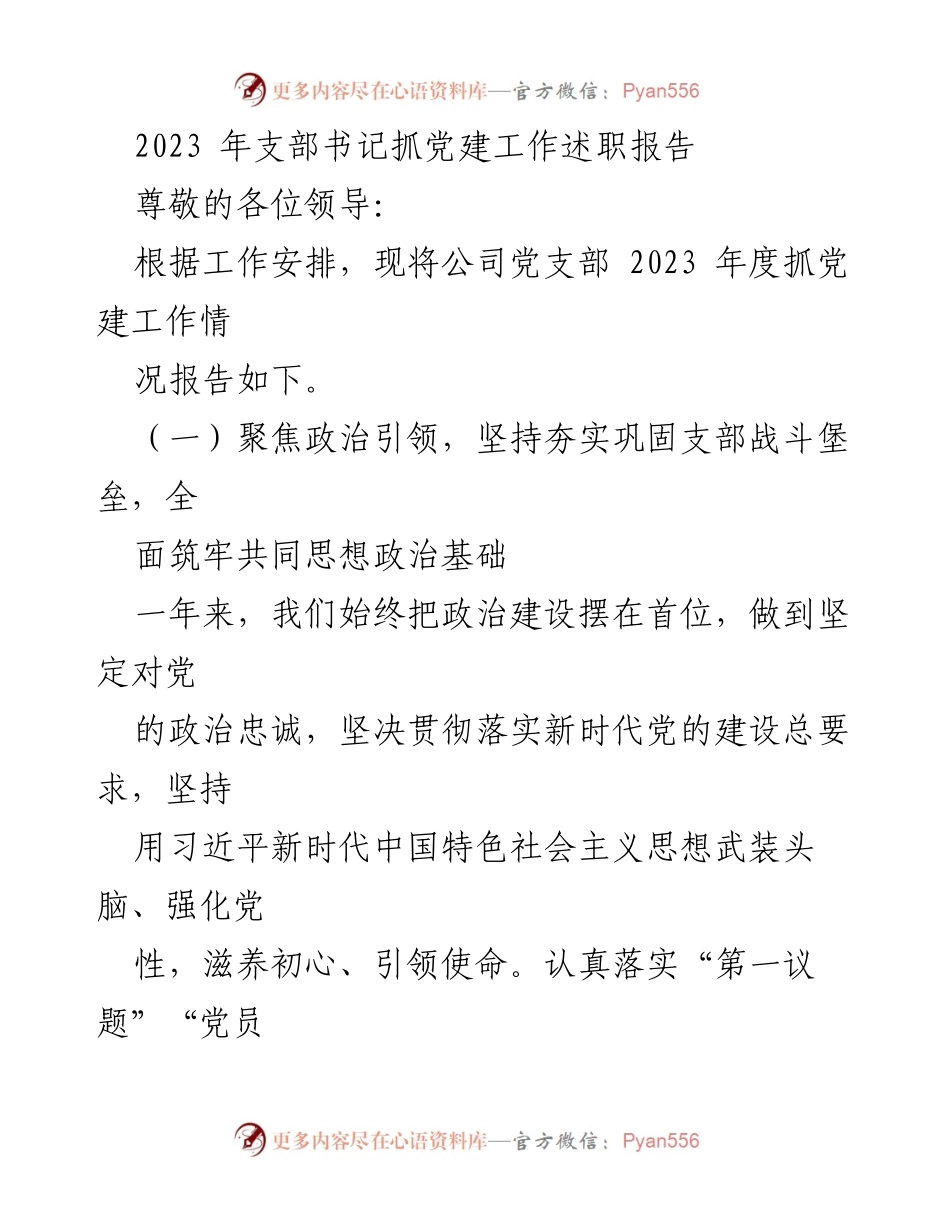 [发言] 述职会议 - 2023年度党支部书记抓党建工作述职报告.docx_第1页