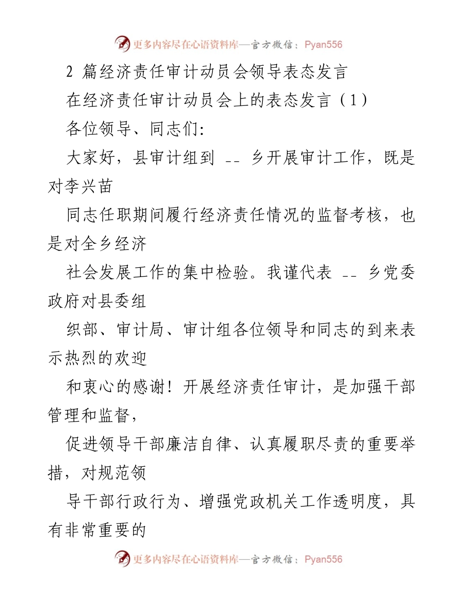 [发言] 经济责任审计动员会 - 经济责任审计的重要性与支持表态.docx_第1页