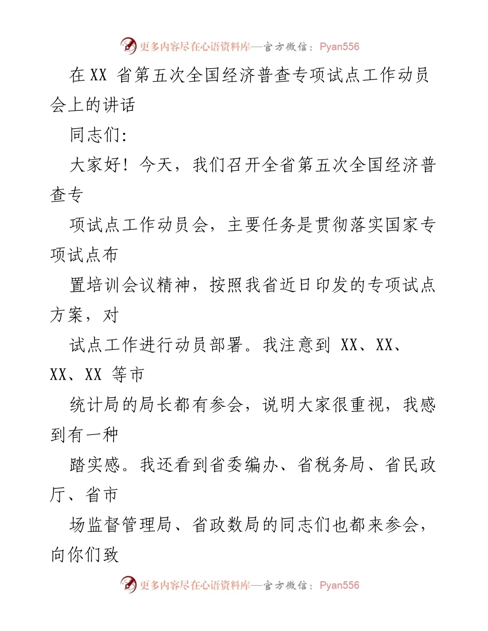 [发言] 经济普查专项试点动员会 - 强调五经普试点工作的重要性与协同支持.docx_第1页