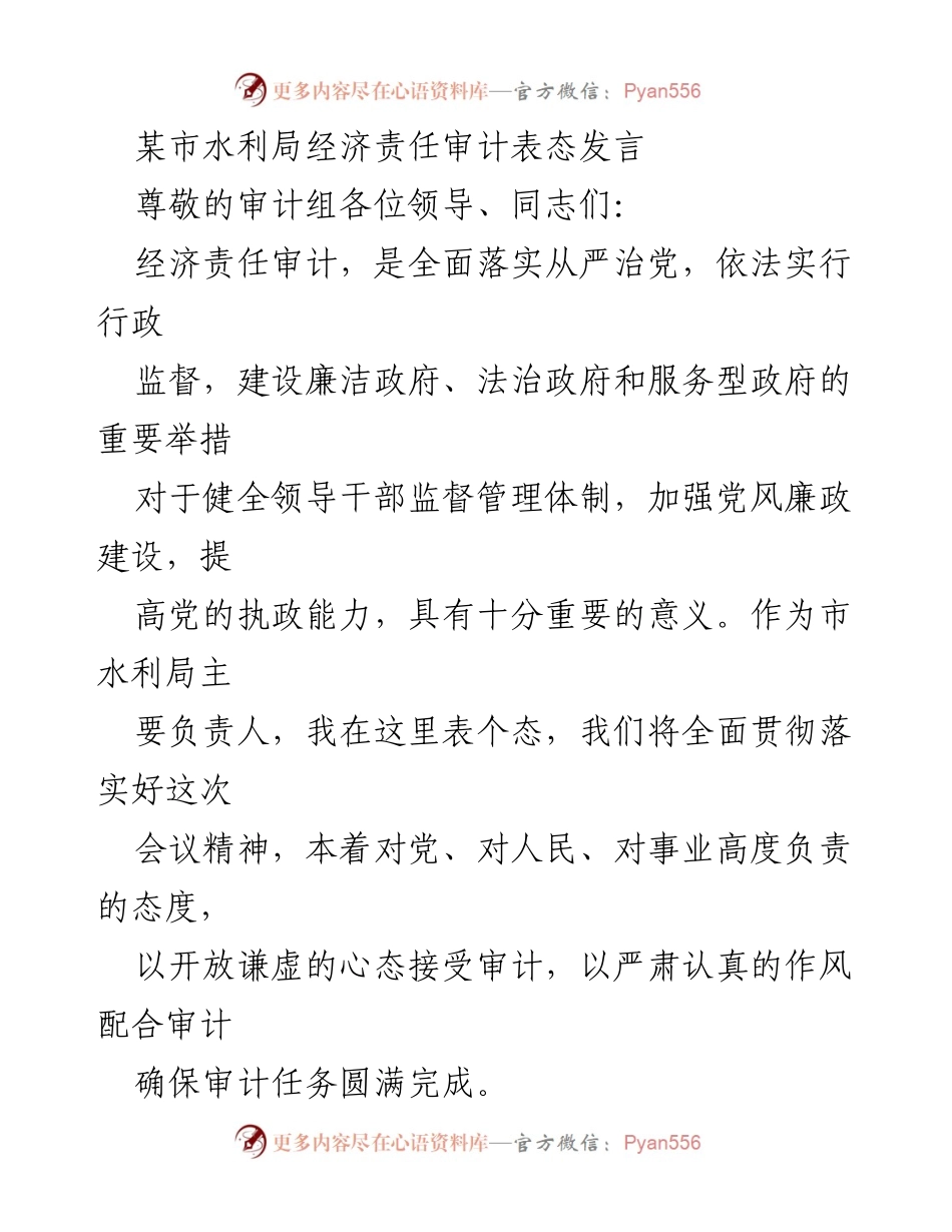 [发言] 经济责任审计会议 - 市水利局对经济责任审计的表态发言_1.docx_第1页