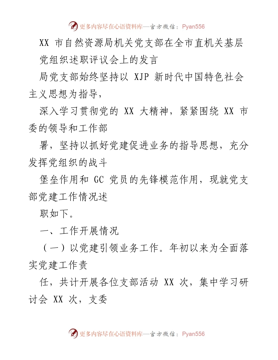 [发言] 述职评议会 - XX市自然资源局党支部党建工作述职报告.docx_第1页