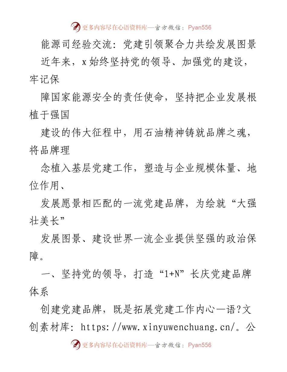 [发言] 能源司经验交流会 - 党建引领助力企业高质量发展.docx_第1页