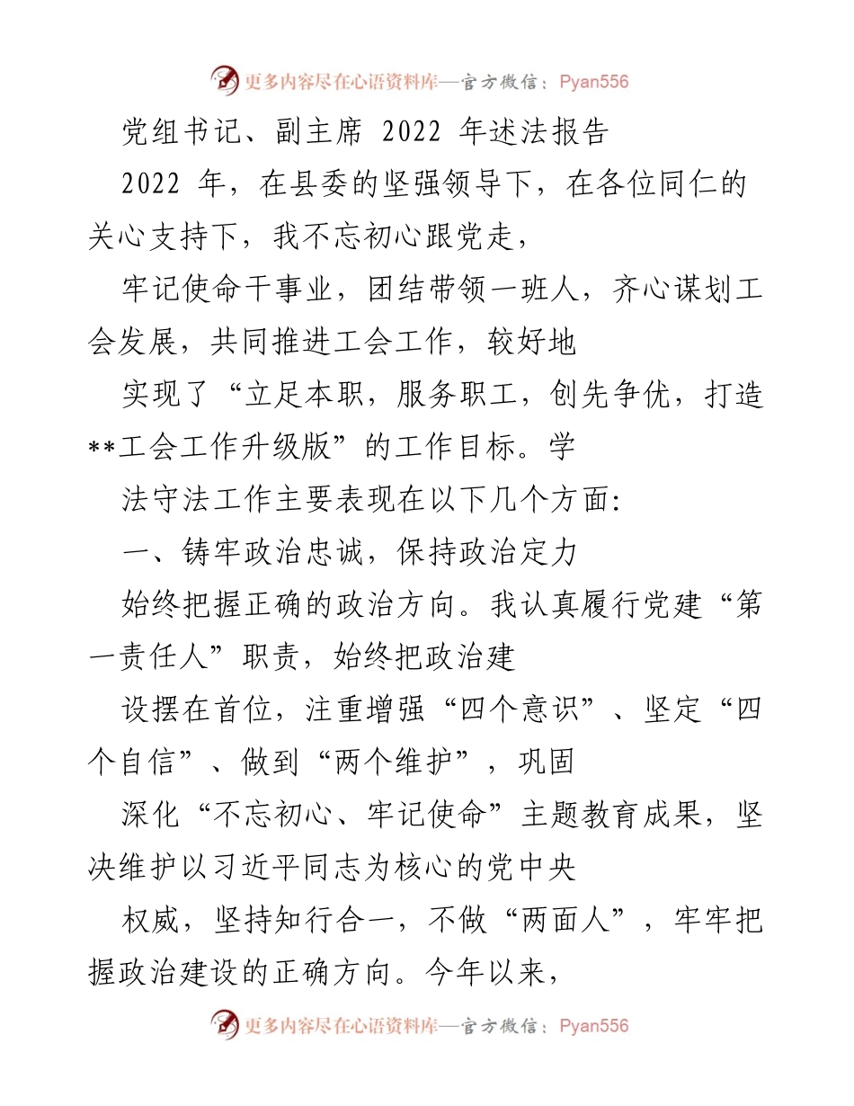 [发言] 述法报告 - 2022年党组书记、副主席述法报告总结.docx_第1页