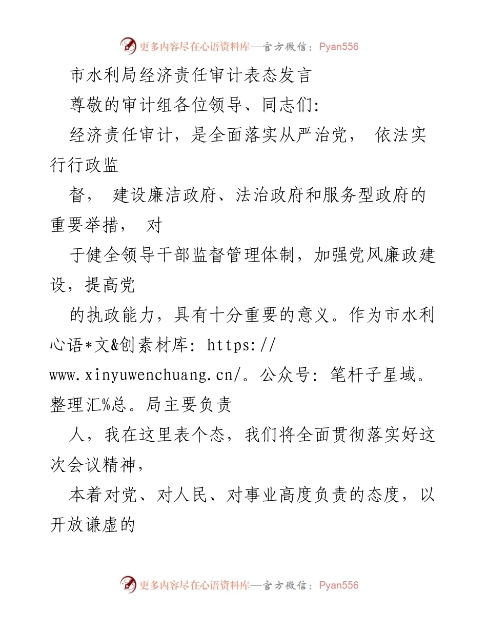 [发言] 经济责任审计会议 - 市水利局对经济责任审计的表态发言.docx_第1页