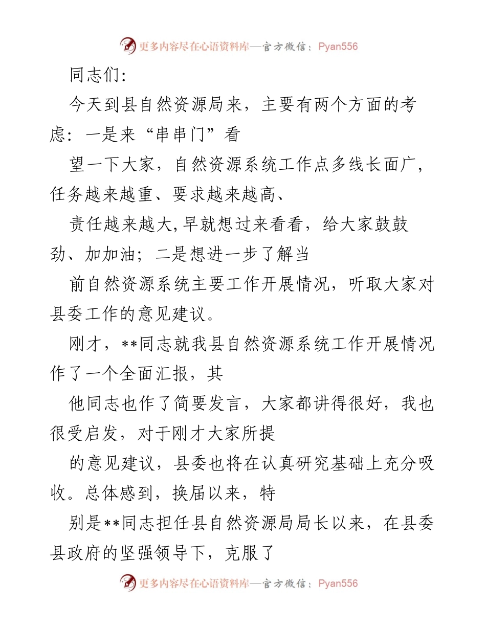 [发言] 自然资源局工作汇报会 - 加强自然资源工作，服务经济高质量发展.docx_第1页