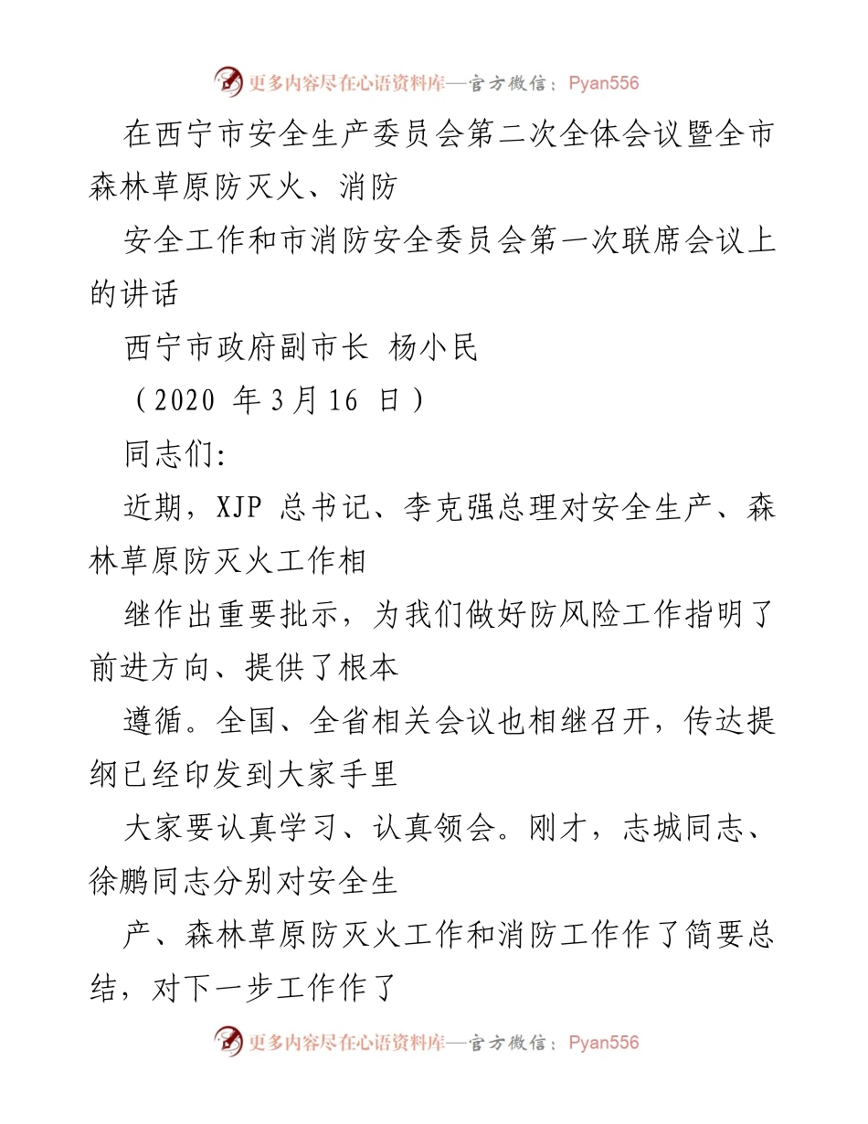 [发言] 西宁市安全生产委员会会议 - 强化安全生产与火灾防控的政治责任.docx_第1页