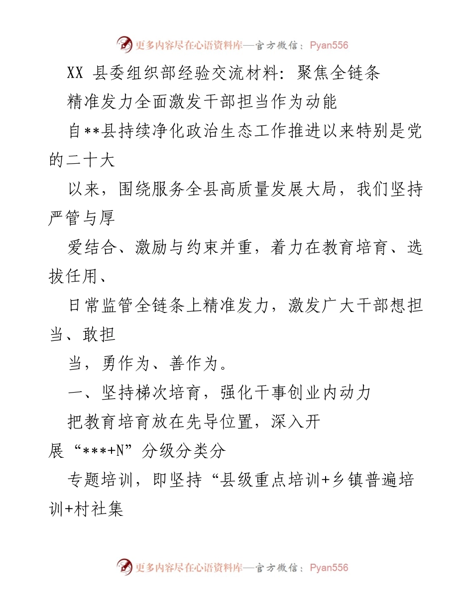 [发言] 经验交流会 - 激发干部担当作为的全链条实践探索.docx_第1页