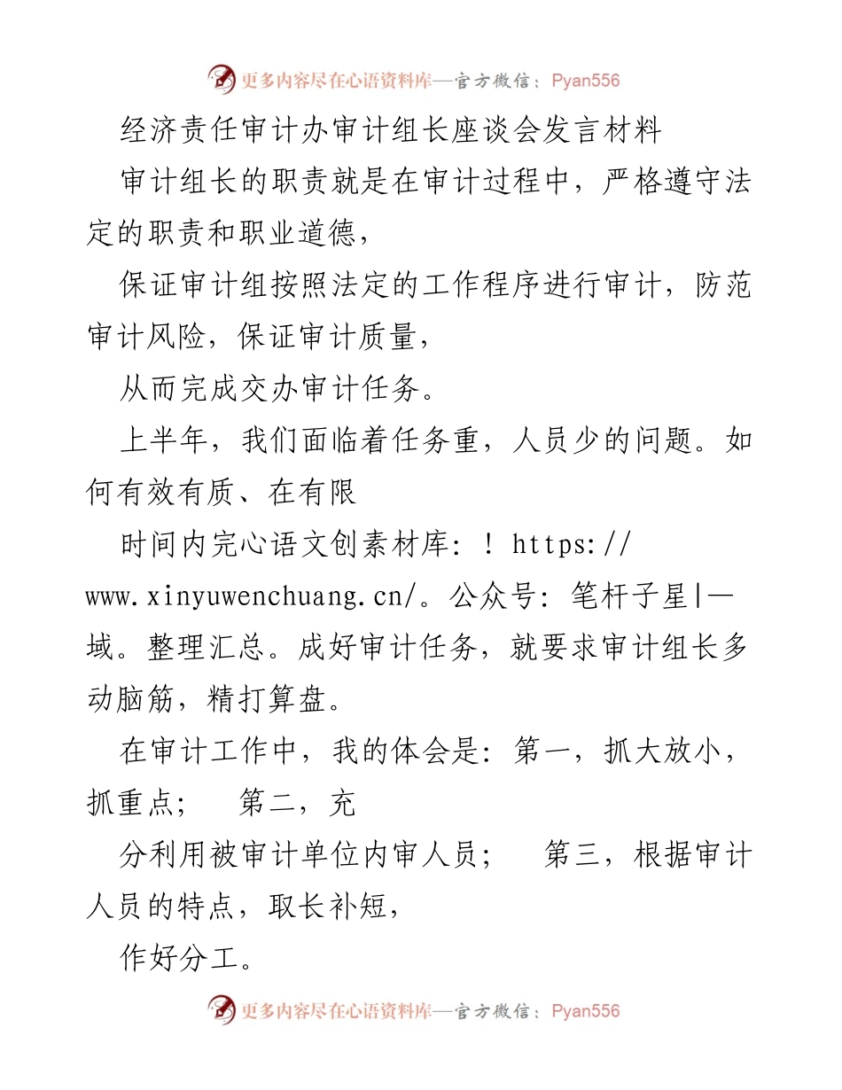 [发言] 经济责任审计办审计组长座谈会 - 提升审计效率的策略与体会.docx_第1页