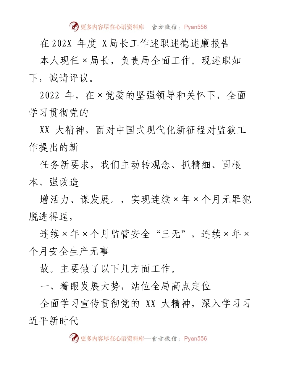 [发言] 述职报告 - 202X年度X局长工作述职述德述廉报告.docx_第1页