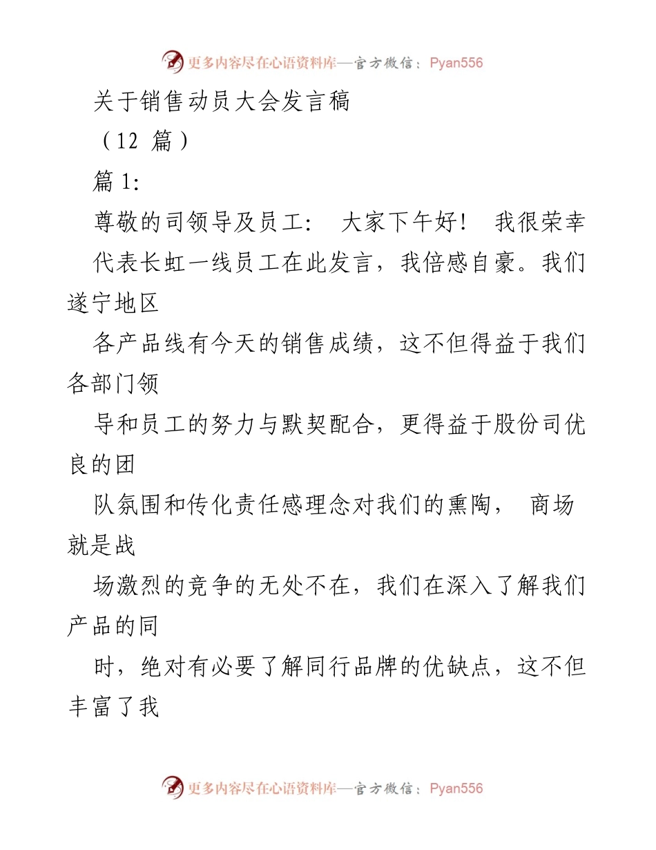 [发言] 销售动员大会 - 激发斗志，携手共创销售佳绩.docx_第1页