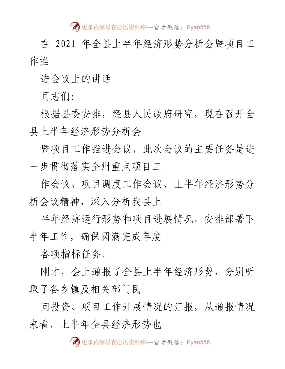 [发言] 经济形势分析会 - 上半年经济形势分析与项目工作推进的重要性.docx_第1页