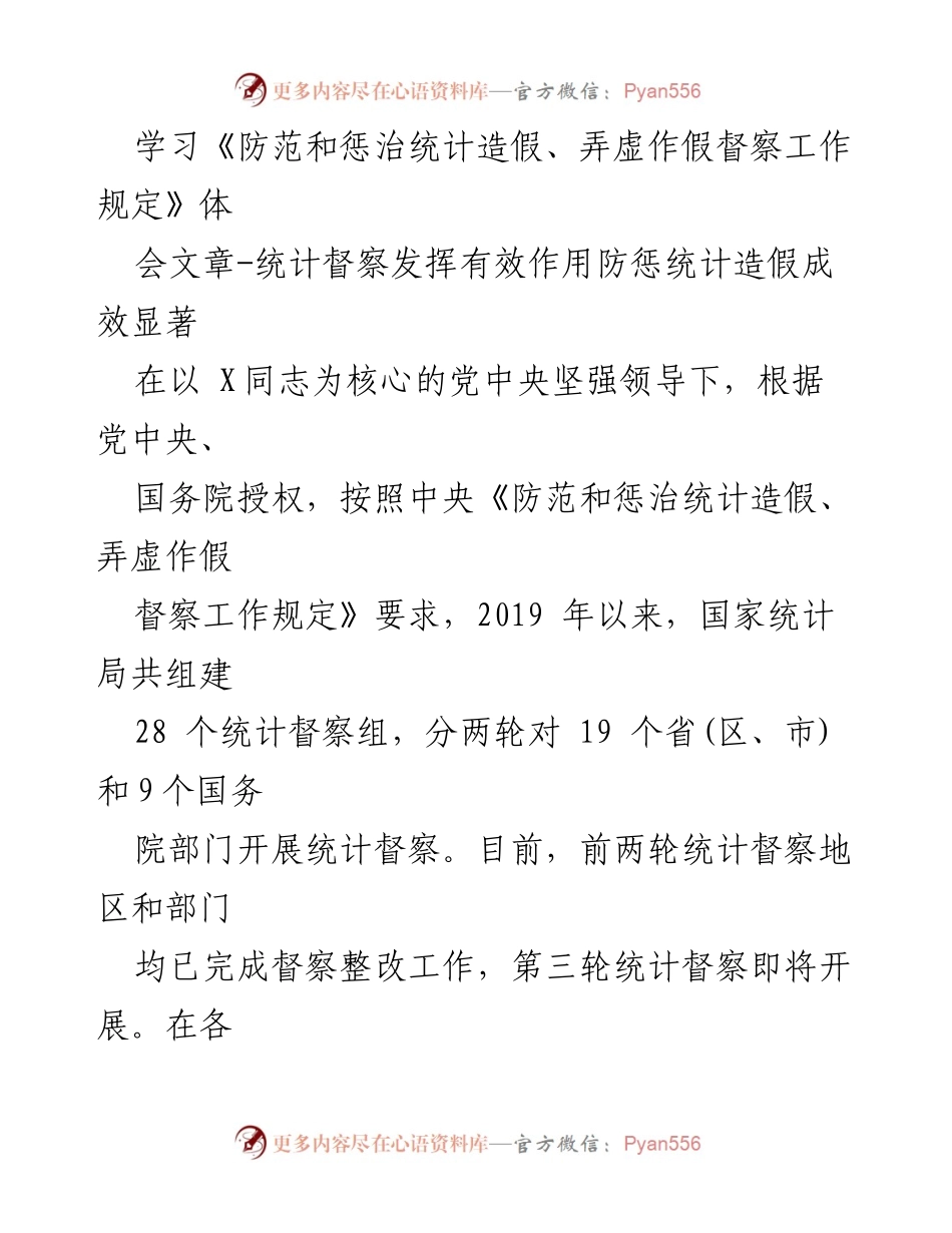 [发言] 统计工作会议 - 统计督察成效与责任体系建设总结.docx_第1页