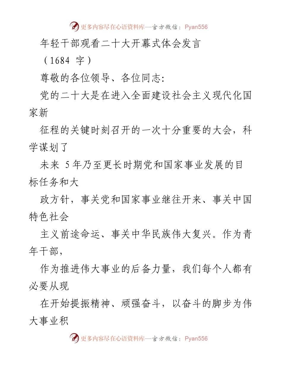 [发言] 观看二十大开幕式 - 青年干部的奋斗精神与责任担当.docx_第1页