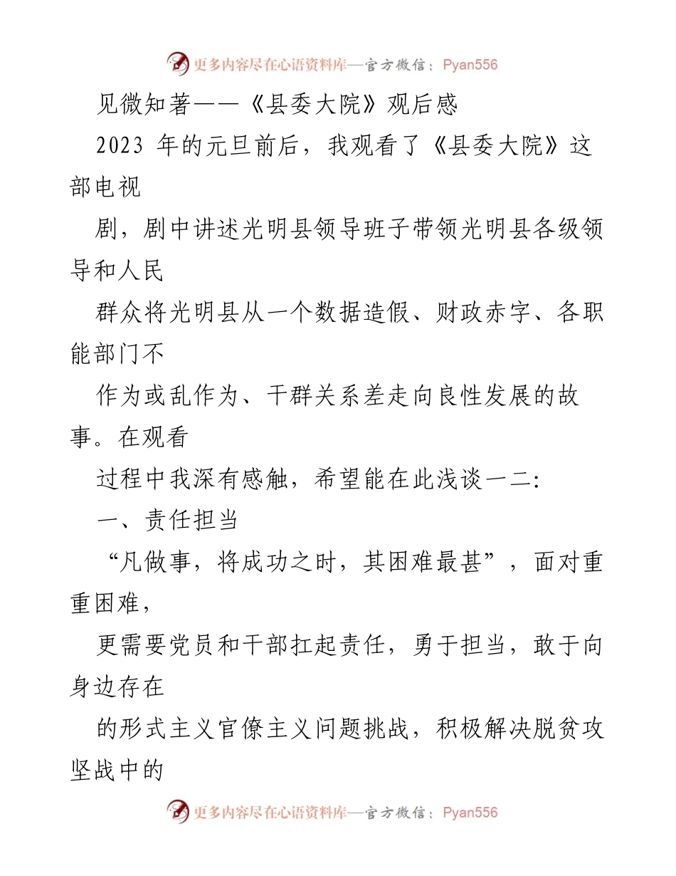 [发言] 观后感分享 - 《县委大院》：责任担当与细节管理的启示.docx_第1页