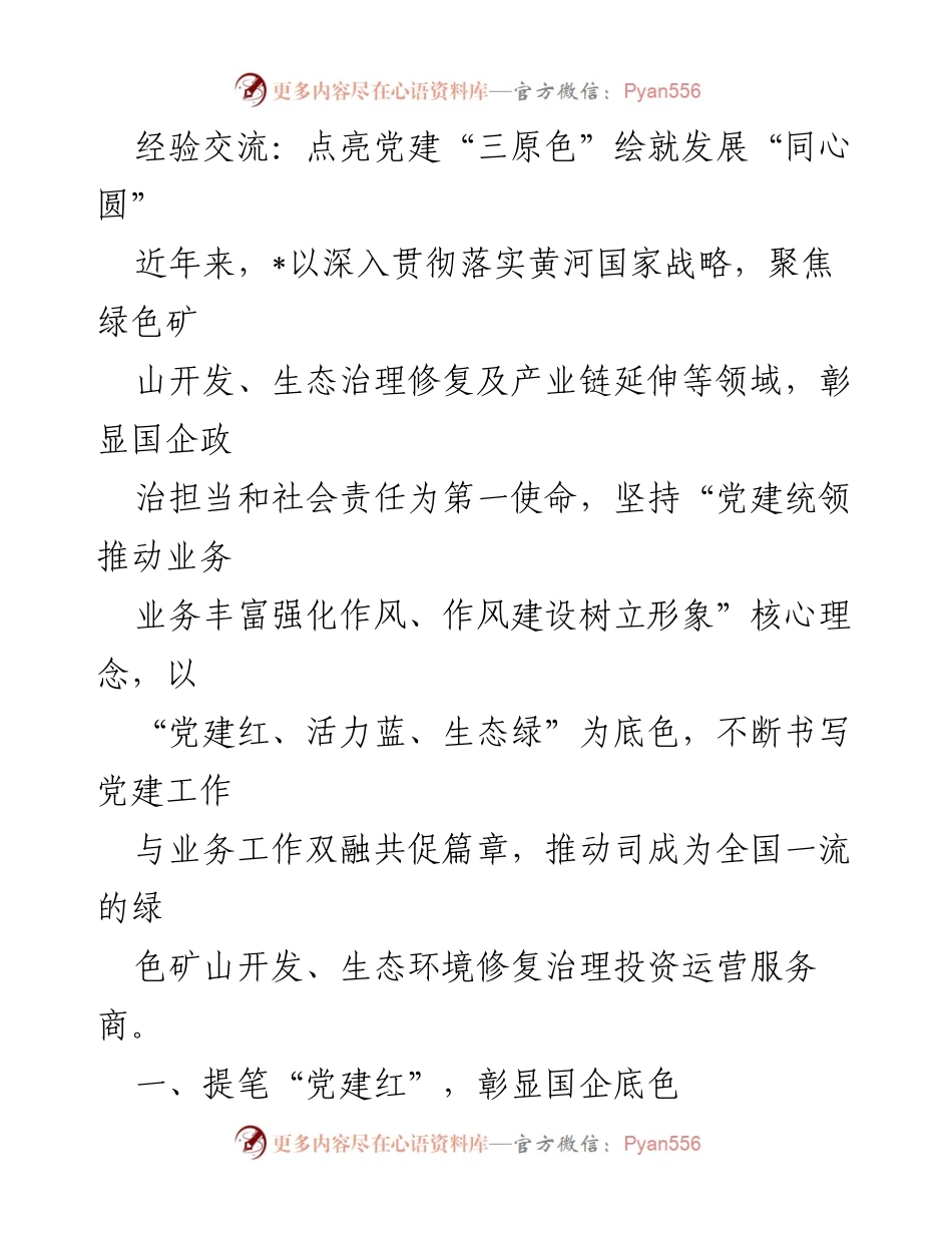 [发言] 经验交流会 - 点亮党建“三原色”，推动绿色发展与企业融合.docx_第1页