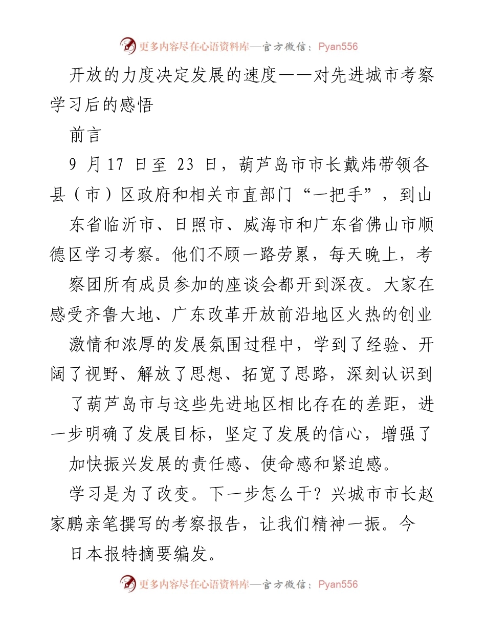 [发言] 考察学习总结 - 开放力度与发展速度的关系探讨.docx_第1页