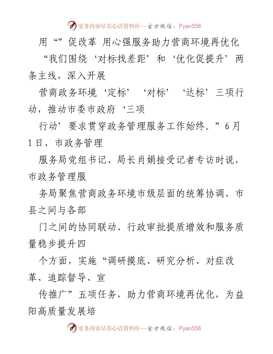[发言] 记者专访 - 优化营商环境：市政务管理服务局的改革与服务创新.docx_第1页