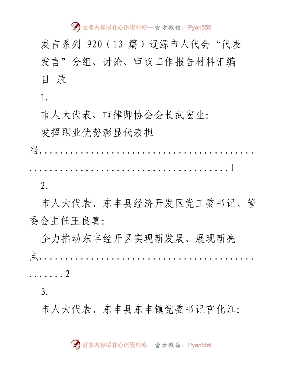 [发言] 辽源市人代会 - 人大代表发言汇编：展现担当与发展新思路.docx_第1页