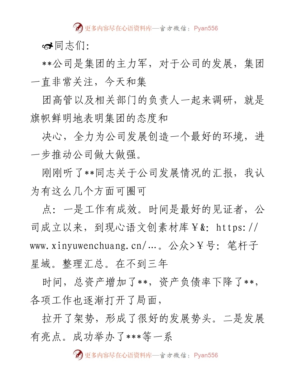 [发言] 调研会议 - 加强公司发展与项目管理的建议.docx_第1页
