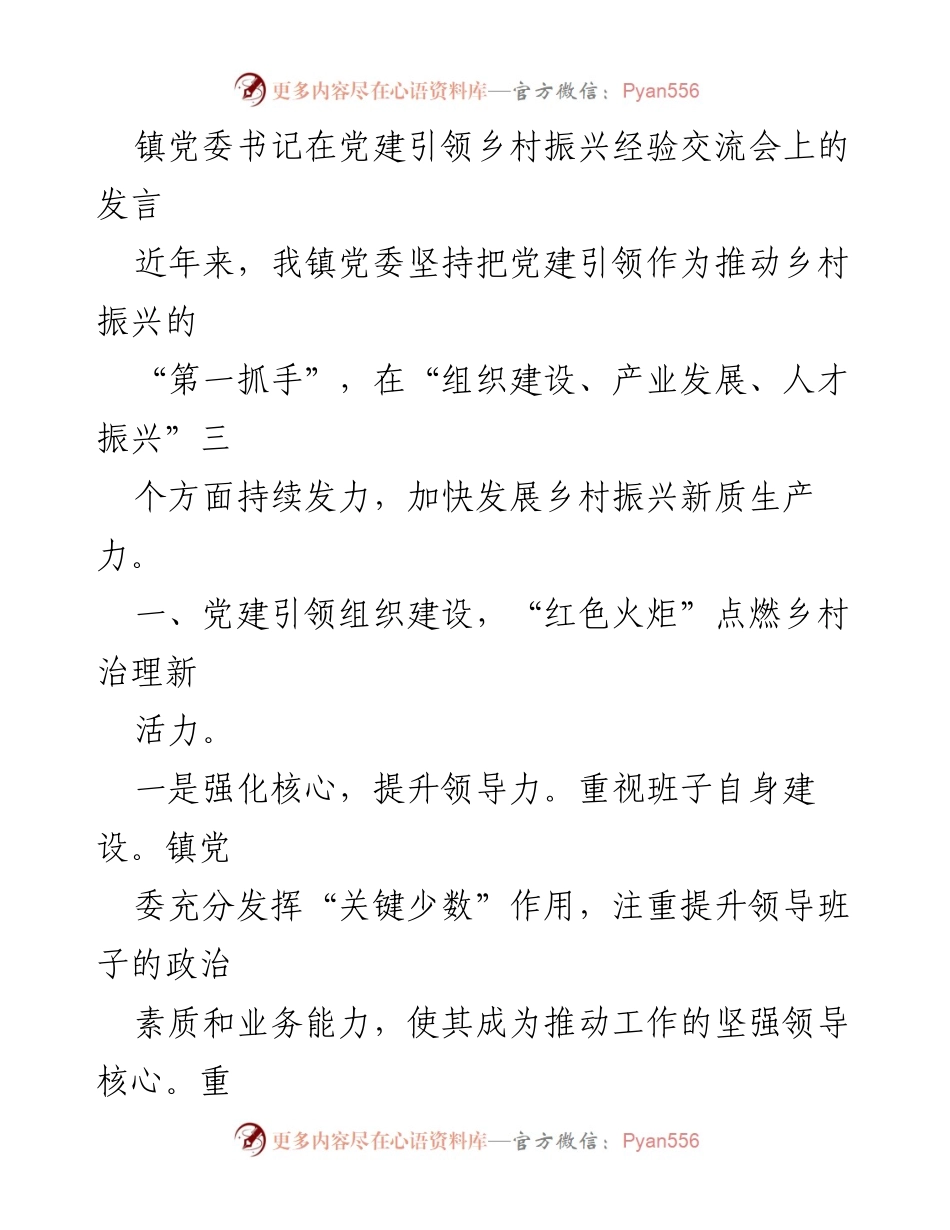 [发言] 经验交流会 - 党建引领乡村振兴的实践与成效.docx_第1页