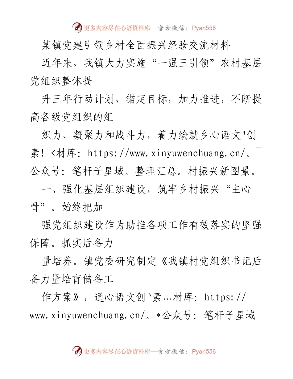 [发言] 经验交流会 - 党建引领乡村振兴的成功实践与经验分享.docx_第1页