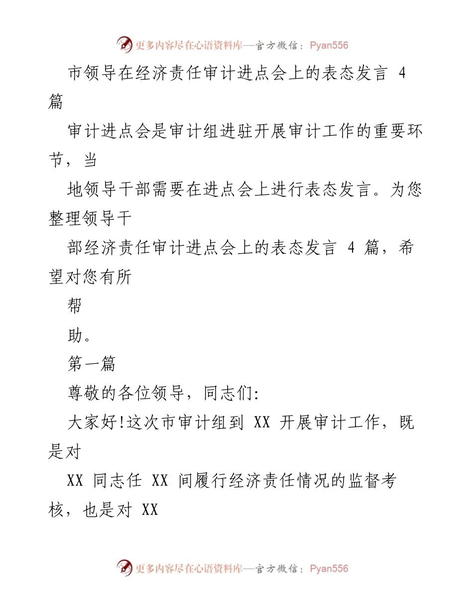 [发言] 经济责任审计进点会 - 市领导对经济责任审计的表态发言总结.docx_第1页