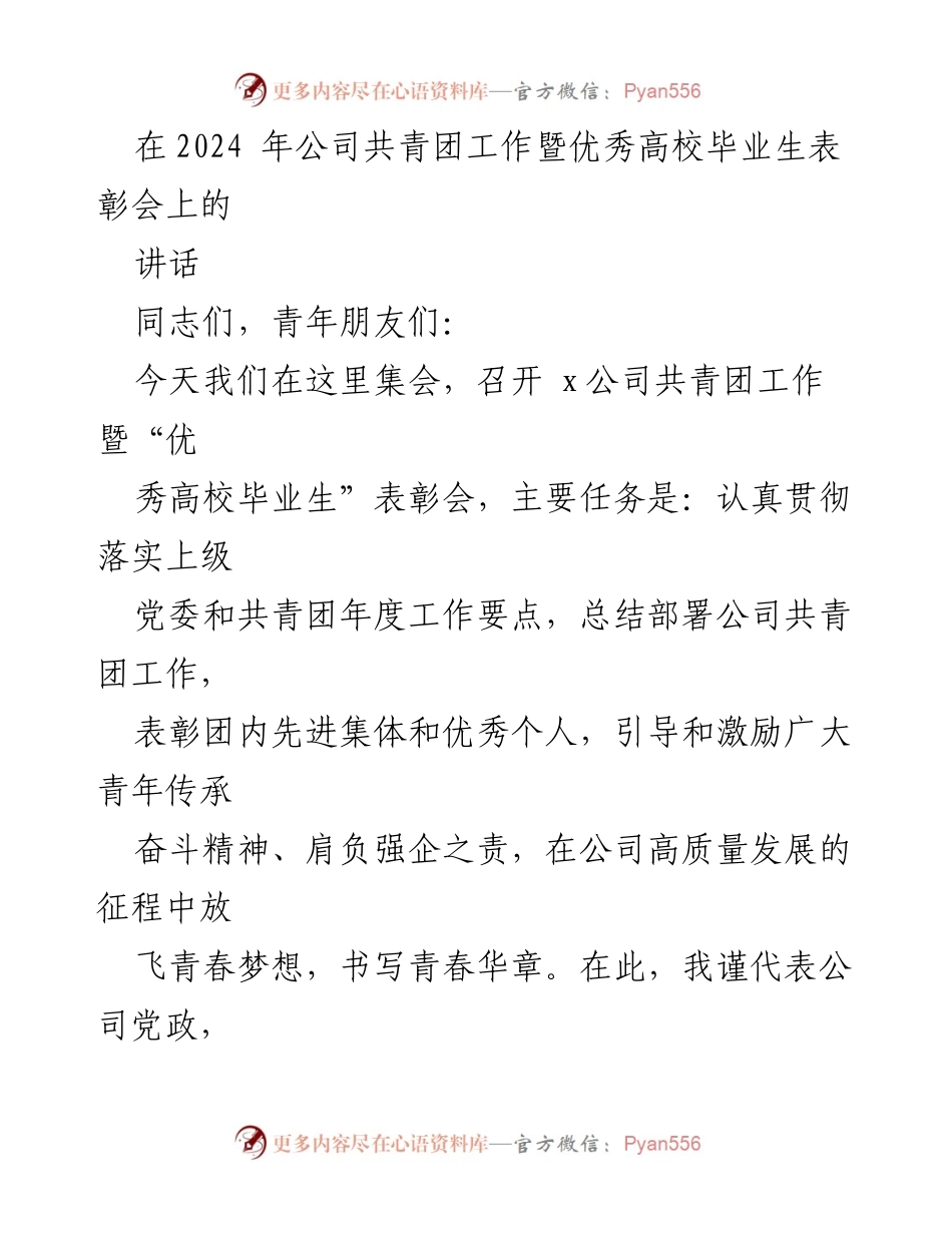 [发言] 表彰会 - 激励青年共青团员共创公司高质量发展新篇章.docx_第1页
