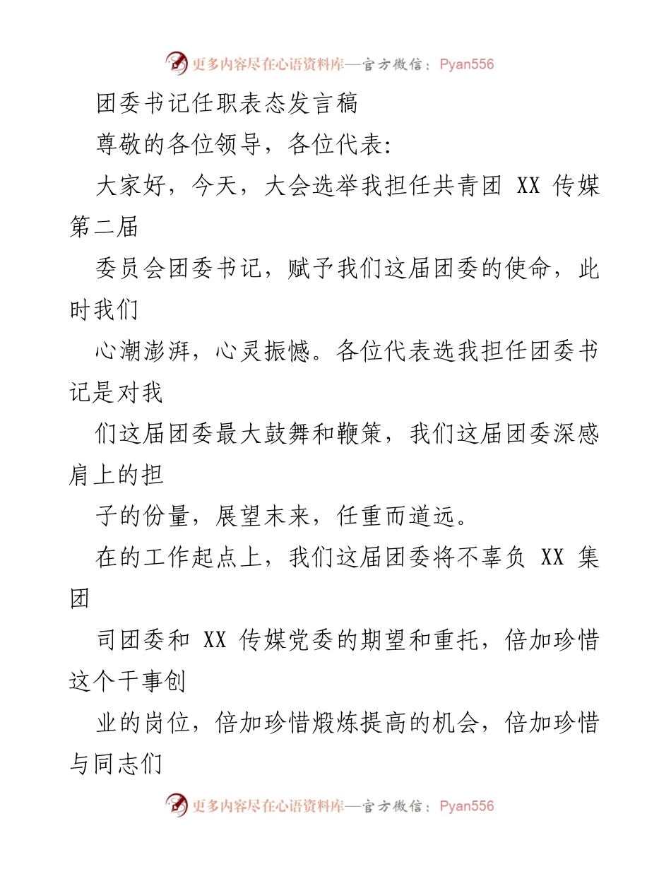 [发言] 选举大会 - 新任团委书记的表态与承诺.docx_第1页
