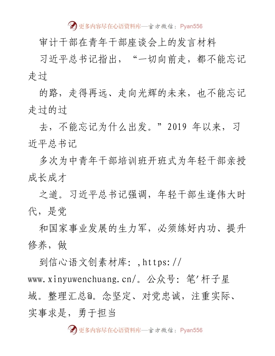 [发言] 青年干部座谈会 - 审计工作中的成长与体会.docx_第1页