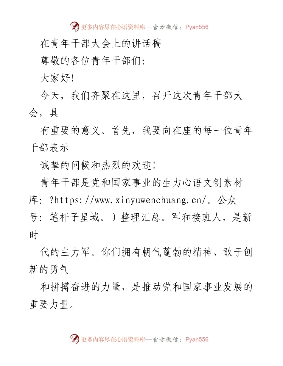 [发言] 青年干部大会 - 青年干部的使命与责任.docx_第1页